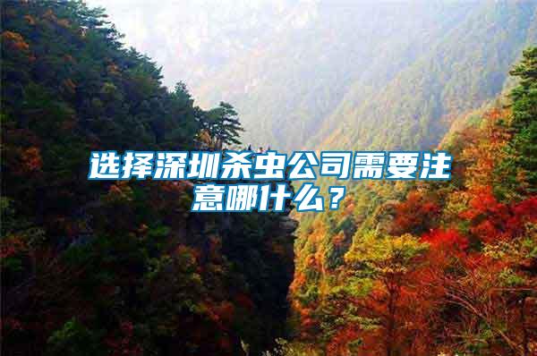 選擇深圳殺蟲公司需要注意哪什么？