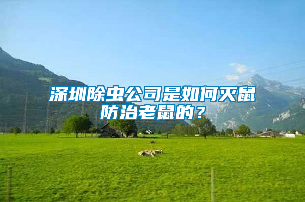 深圳除蟲公司是如何滅鼠防治老鼠的？