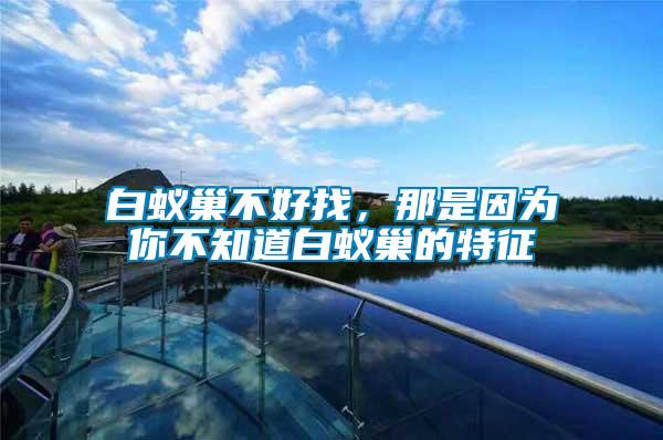 白蟻巢不好找，那是因為你不知道白蟻巢的特征