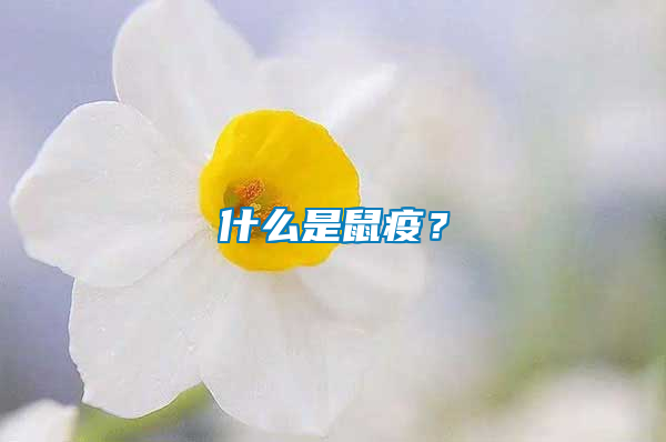 什么是鼠疫？