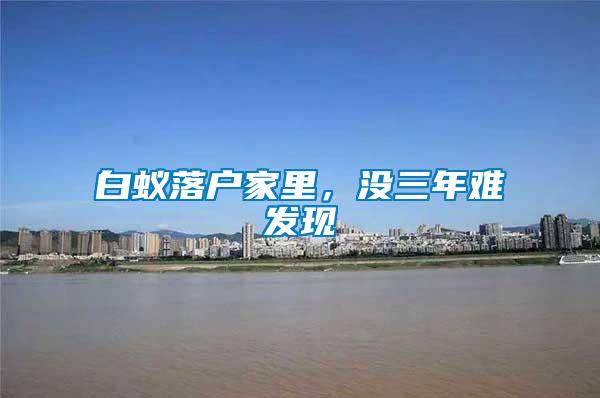 白蟻落戶家里，沒三年難發(fā)現(xiàn)