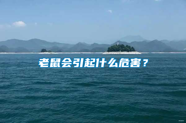 老鼠會引起什么危害？