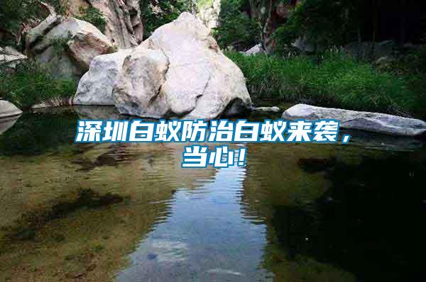 深圳白蟻防治白蟻來襲，當(dāng)心！