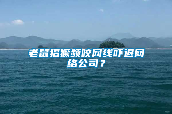 老鼠猖獗頻咬網(wǎng)線嚇退網(wǎng)絡(luò)公司？