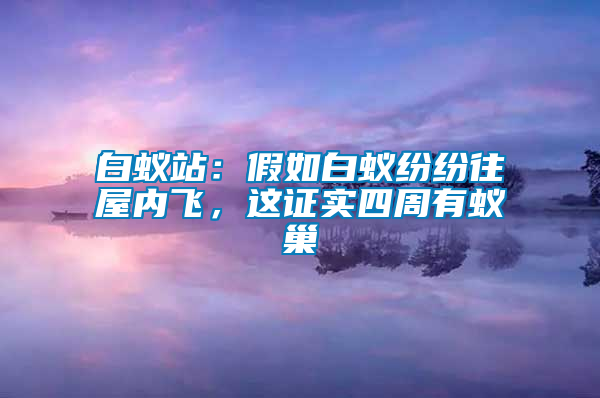 白蟻站：假如白蟻紛紛往屋內(nèi)飛，這證實四周有蟻巢