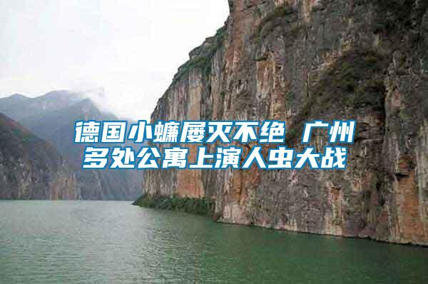 德國(guó)小蠊屢滅不絕 廣州多處公寓上演人蟲大戰(zhàn)