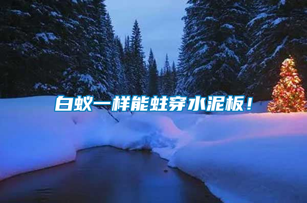 白蟻一樣能蛀穿水泥板！