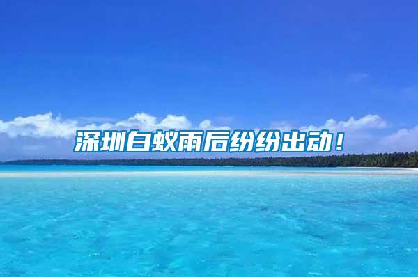 深圳白蟻雨后紛紛出動(dòng)！