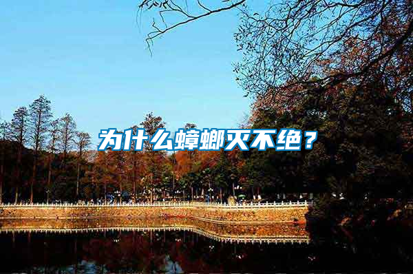 為什么蟑螂滅不絕？