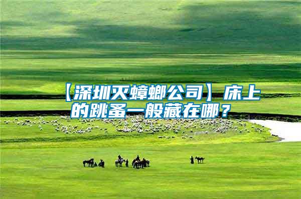 【深圳滅蟑螂公司】床上的跳蚤一般藏在哪？