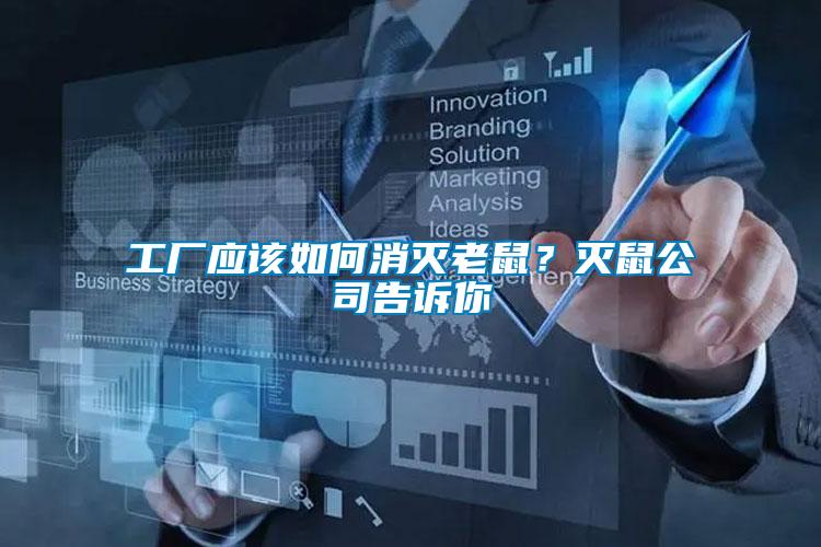 工廠應(yīng)該如何消滅老鼠？滅鼠公司告訴你