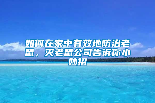 如何在家中有效地防治老鼠，滅老鼠公司告訴你小妙招