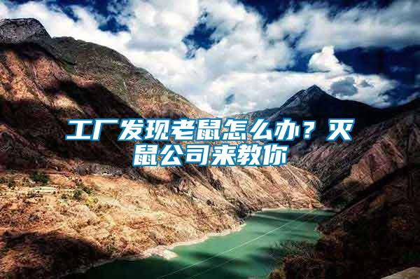 工廠發(fā)現(xiàn)老鼠怎么辦？滅鼠公司來教你