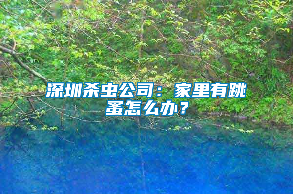 深圳殺蟲公司：家里有跳蚤怎么辦？