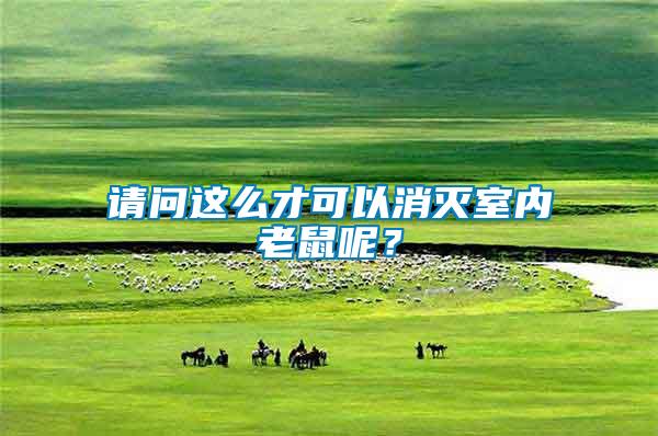 請(qǐng)問(wèn)這么才可以消滅室內(nèi)老鼠呢？