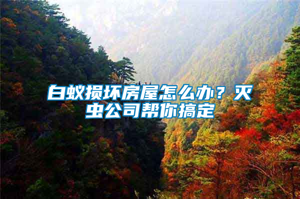 白蟻損壞房屋怎么辦？滅蟲(chóng)公司幫你搞定