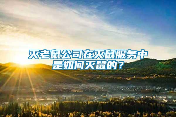 滅老鼠公司在滅鼠服務中是如何滅鼠的？