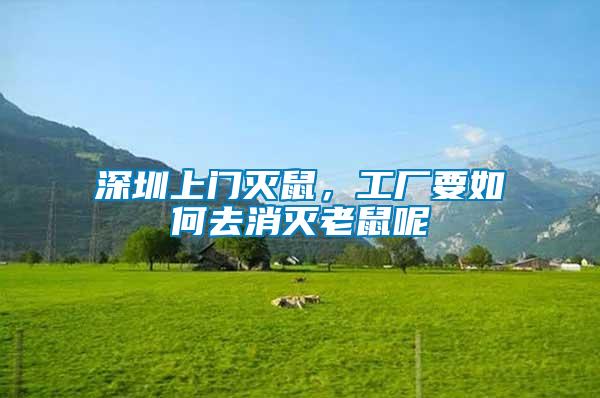 深圳上門滅鼠，工廠要如何去消滅老鼠呢