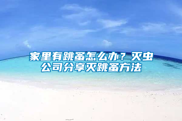 家里有跳蚤怎么辦？滅蟲公司分享滅跳蚤方法