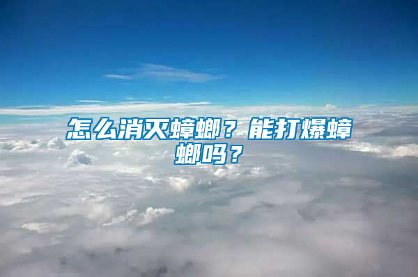 怎么消滅蟑螂？能打爆蟑螂嗎？
