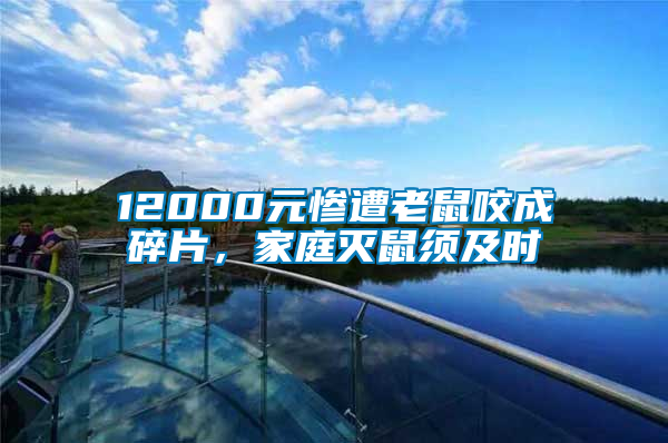 12000元慘遭老鼠咬成碎片，家庭滅鼠須及時
