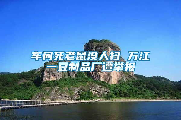車(chē)間死老鼠沒(méi)人掃 萬(wàn)江一豆制品廠(chǎng)遭舉報(bào)