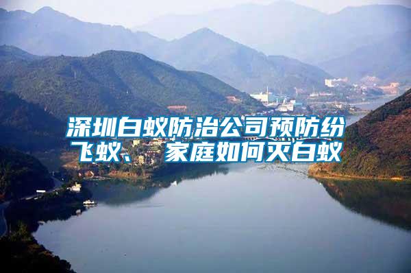 深圳白蟻防治公司預(yù)防紛飛蟻、 家庭如何滅白蟻