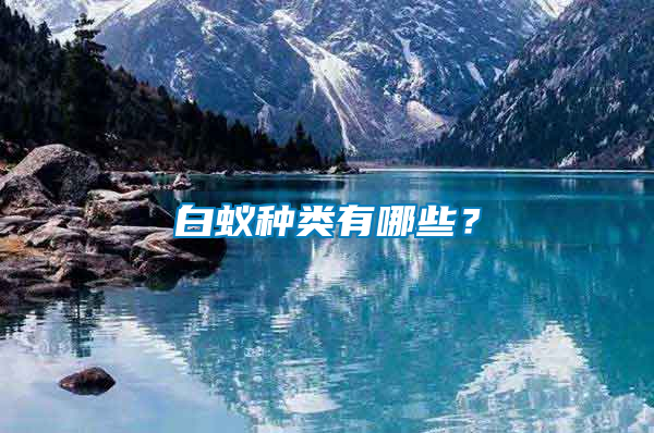 白蟻種類有哪些？