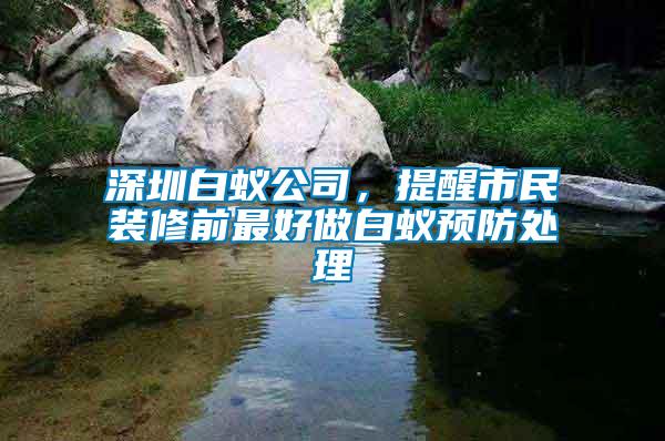 深圳白蟻公司，提醒市民裝修前最好做白蟻預(yù)防處理
