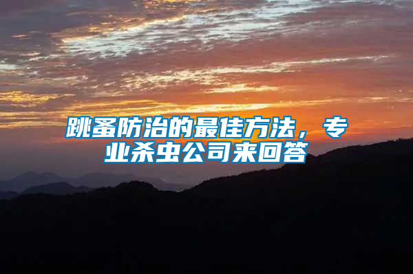 跳蚤防治的最佳方法，專業(yè)殺蟲公司來回答