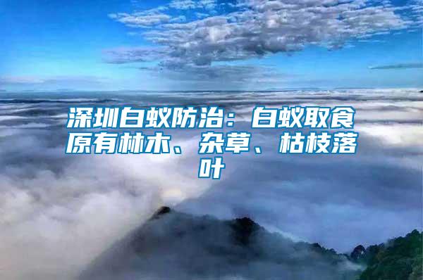 深圳白蟻防治：白蟻取食原有林木、雜草、枯枝落葉