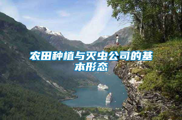農(nóng)田種植與滅蟲(chóng)公司的基本形態(tài)