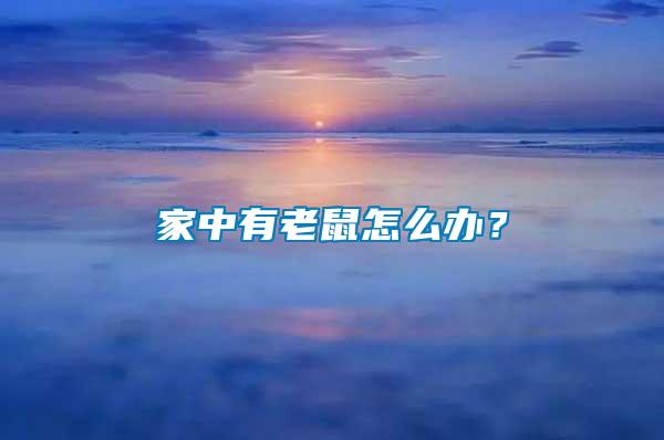 家中有老鼠怎么辦？