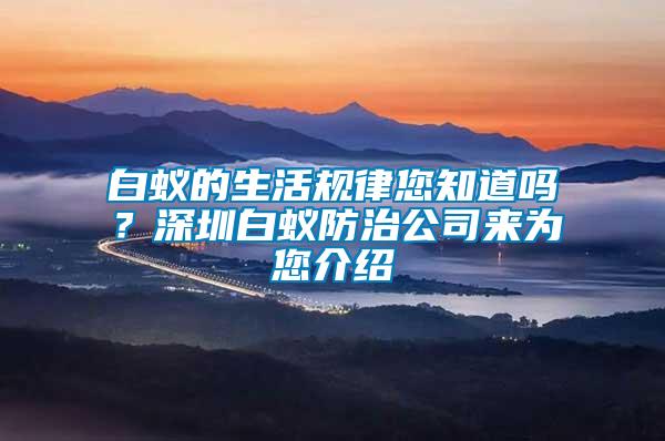 白蟻的生活規(guī)律您知道嗎？深圳白蟻防治公司來為您介紹