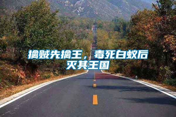 擒賊先擒王，毒死白蟻后滅其王國(guó)