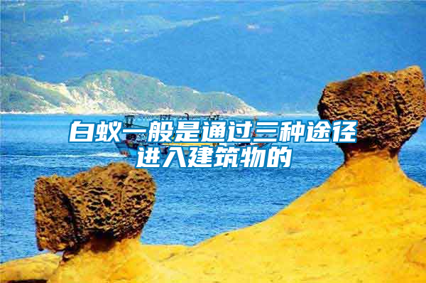 白蟻一般是通過三種途徑進(jìn)入建筑物的