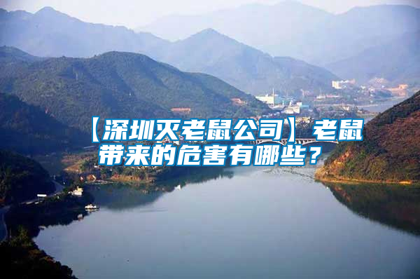 【深圳滅老鼠公司】老鼠帶來(lái)的危害有哪些？