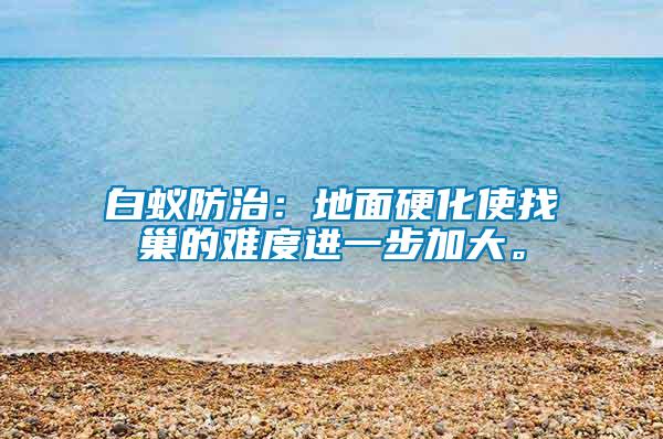 白蟻防治：地面硬化使找巢的難度進一步加大。
