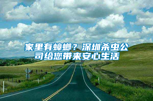 家里有蟑螂？深圳殺蟲公司給您帶來安心生活