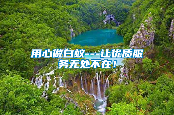 用心做白蟻---讓優(yōu)質(zhì)服務(wù)無處不在！
