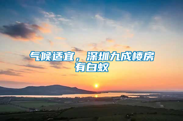 氣候適宜，深圳九成樓房有白蟻