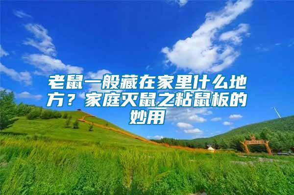 老鼠一般藏在家里什么地方？家庭滅鼠之粘鼠板的妙用