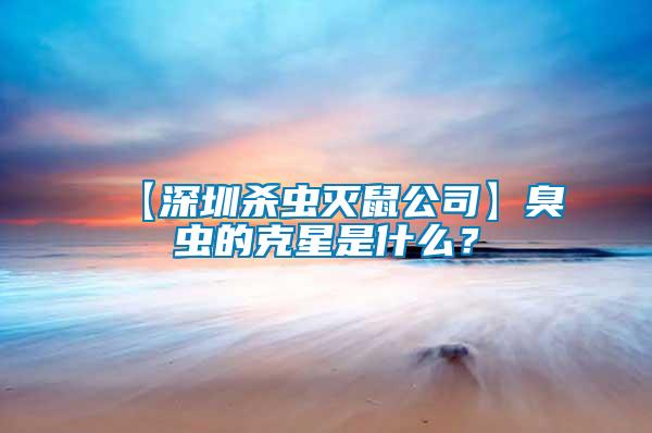 【深圳殺蟲滅鼠公司】臭蟲的克星是什么？