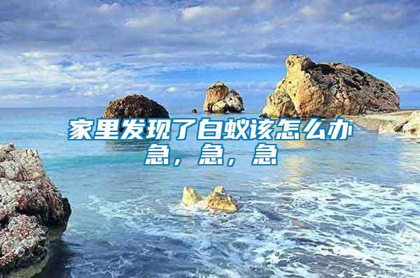 家里發(fā)現(xiàn)了白蟻該怎么辦急，急，急