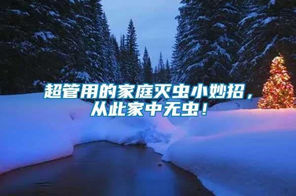 超管用的家庭滅蟲小妙招，從此家中無蟲！
