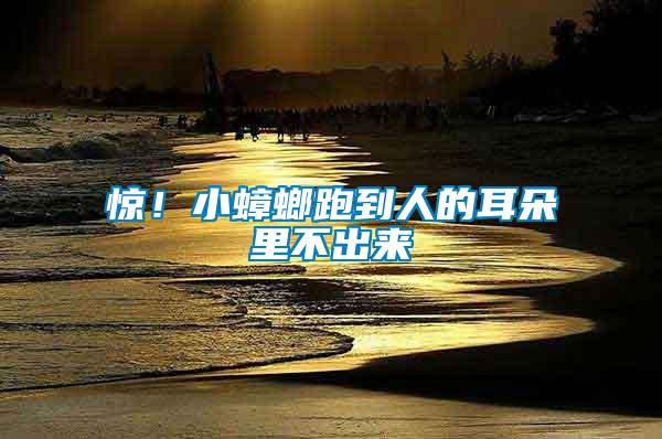 驚！小蟑螂跑到人的耳朵里不出來(lái)