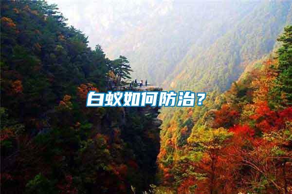 白蟻如何防治？