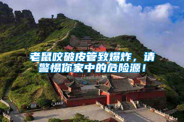 老鼠咬破皮管致爆炸，請(qǐng)警惕你家中的危險(xiǎn)源！