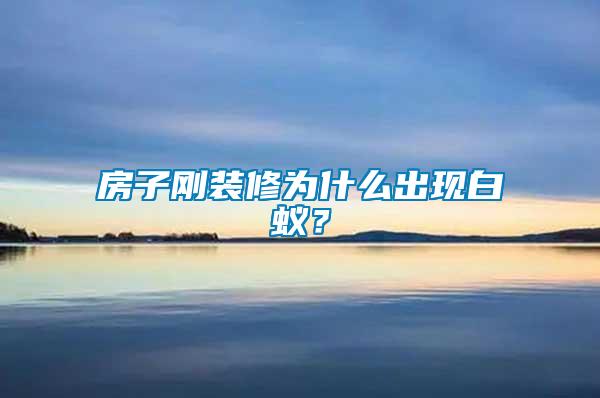 房子剛裝修為什么出現(xiàn)白蟻？