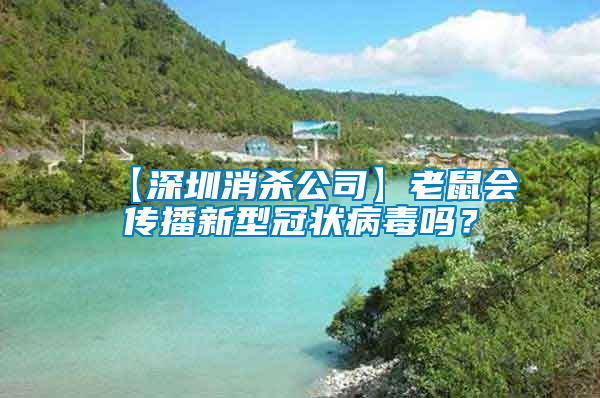 【深圳消殺公司】老鼠會傳播新型冠狀病毒嗎？